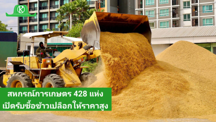 สหกรณ์การเกษตรทั่วประเทศพร้อมใจเปิดจุดรับซื้อข้าวเปลือกนาปีจากเกษตรกร ตั้งเป้าฤดูกาลนี้รวบรวมไม่น้อยกว่า 4 ล้านตันล่าสุดราคาข้าวเปลือกหอมมะลิพุ่งแตะ กก.ละ 13.80 บาท