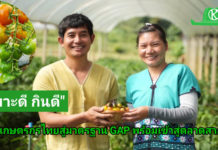 ซินเจนทาชูความสำเร็จ “เพาะดี กินดี” ดันเกษตรกรไทยสู่มาตรฐาน GAP พร้อมก้าวสู่ตลาดสากล