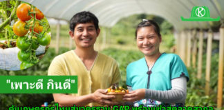 ซินเจนทาชูความสำเร็จ “เพาะดี กินดี” ดันเกษตรกรไทยสู่มาตรฐาน GAPพร้อมก้าวสู่ตลาดสากล ซินเจนทาชูความสำเร็จ “เพาะดี กินดี” ดันเกษตรกรไทยสู่มาตรฐาน GAP พร้อมก้าวสู่ตลาดสากล