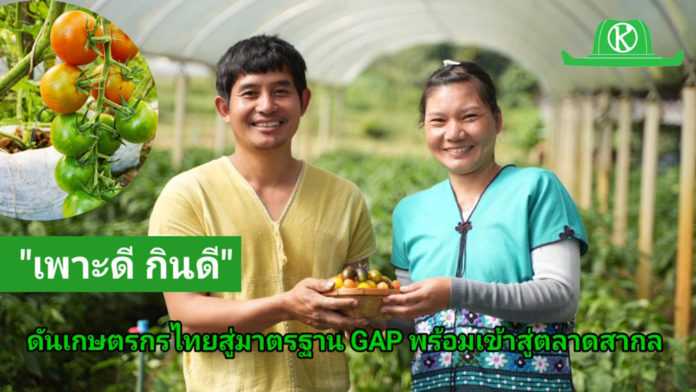 ซินเจนทาชูความสำเร็จ “เพาะดี กินดี” ดันเกษตรกรไทยสู่มาตรฐาน GAP ซินเจนทาชูความสำเร็จ “เพาะดี กินดี” ดันเกษตรกรไทยสู่มาตรฐาน GAP พร้อมก้าวสู่ตลาดสากล