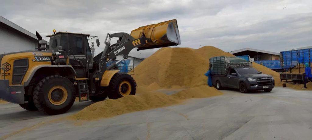 สหกรณ์การเกษตรทั่วประเทศพร้อมใจเปิดจุดรับซื้อข้าวเปลือกนาปีจากเกษตรกร ตั้งเป้าฤดูกาลนี้รวบรวมไม่น้อยกว่า 4 ล้านตันล่าสุดราคาข้าวเปลือกหอมมะลิพุ่งแตะ กก.ละ 13.80 บาท