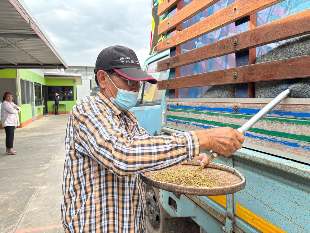 สหกรณ์การเกษตรทั่วประเทศพร้อมใจเปิดจุดรับซื้อข้าวเปลือกนาปีจากเกษตรกร ตั้งเป้าฤดูกาลนี้รวบรวมไม่น้อยกว่า 4 ล้านตันล่าสุดราคาข้าวเปลือกหอมมะลิพุ่งแตะ กก.ละ 13.80 บาท