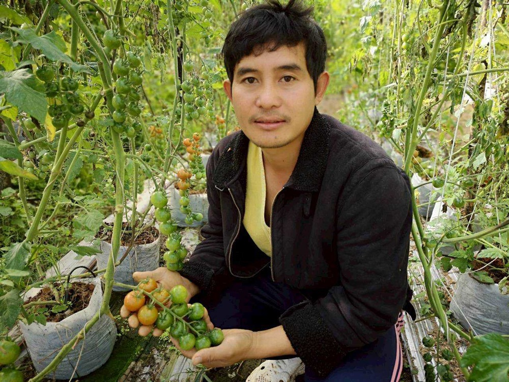 นายอดิเรก สิริว่องวัฒนากิจ สมาชิกกลุ่มวิสาหกิจผักปลอดภัยบ้านป่ากล้วย