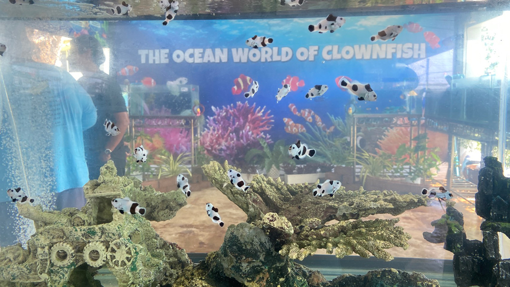 สำนักงาน กปร. นำสื่อมวลชนถอดรหัสงานพัฒนา“จากยอดเขา สู่ท้องทะเล” ณ ศูนย์ศึกษาการพัฒนาอ่าวคุ้งกระเบนอันเนื่องมาจากพระราชดำริ จังหวัดจันทบุรี ขยายผลพระราชดำริสู่ความยั่งยืนของชุมชน