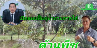 กรมส่งเสริมการเกษตร เผยแผนฟื้นฟูน้ำท่วมภาคใต้ ด้านพืช เน้นฟื้นดิน–ฟื้นต้น–ป้องกันโรค หลังน้ำลด