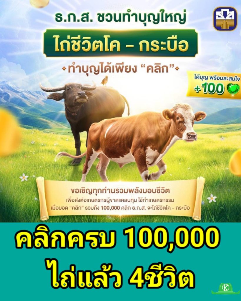 ธ.ก.ส. จัดกิจกรรมบุญใหญ่ส่งท้ายปีผ่านแคมเปญ “ไถ่ชีวิตโค–กระบือ” ชวนสมาชิก LINE OA BAAC Family คลิกร่วมบุญทะลุ 100,000 คลิกใน 14 วัน