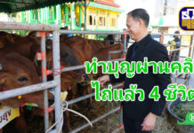 ธ.ก.ส. จัดกิจกรรมบุญ “ไถ่ชีวิตโค–กระบือ” แค่คลิกผ่าน LINE ก็ได้บุญ-14 วัน ไถ่ 4 ชีวิต ธ.ก.ส. จัดกิจกรรมบุญใหญ่ส่งท้ายปีผ่านแคมเปญ “ไถ่ชีวิตโค–กระบือ” ชวนสมาชิก LINE OA BAAC Family คลิกร่วมบุญทะลุ 100,000 คลิกใน 14 วัน