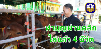 ธ.ก.ส. จัดกิจกรรมบุญ “ไถ่ชีวิตโค–กระบือ” แค่คลิกผ่าน LINE ก็ได้บุญ-14 วัน ไถ่ 4 ชีวิต ธ.ก.ส. จัดกิจกรรมบุญใหญ่ส่งท้ายปีผ่านแคมเปญ “ไถ่ชีวิตโค–กระบือ” ชวนสมาชิก LINE OA BAAC Family คลิกร่วมบุญทะลุ 100,000 คลิกใน 14 วัน