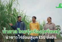 น้ำตาลไทยรุ่งเรือง (ศรีเทพ) คิกออฟ “Cane Hero” ส่ง 5 ทีมฮีโร่ นำชาวไร่อ้อยสู่ยุค ESG ยั่งยืน กลุ่มน้ำตาลไทยรุ่งเรือง โรงงานศรีเทพ คิกออฟโครงการ Cane Hero ฮีโร่อ้อยสดศรีเทพ ส่ง “5 ทีมฮีโร่” สนับสนุน-ส่งเสริม-สร้างสุข เกษตรกรชาวไร่อ้อย สู่วิถี ESG