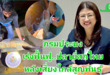 กรมประมง..เร่งฟื้นฟู “ปลายี่สกไทย” หลังเสี่ยงใกล้สูญพันธุ์ ตั้งเป้าผลิตกว่า 500,000 ตัว ในปี 2569 กรมประมง..ขานรับนโยบาย ก.เกษตรฯ เดินหน้าเร่งฟื้นฟู “ปลายี่สกไทย” หลังเสี่ยงใกล้สูญพันธุ์ ตั้งเป้าเพิ่มกำลังการผลิตกว่า 500,000 ตัว ในปี 2569