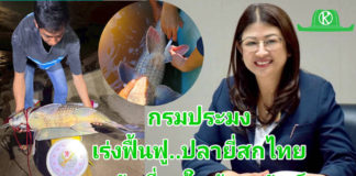 กรมประมง..ขานรับนโยบาย ก.เกษตรฯ เดินหน้าเร่งฟื้นฟู “ปลายี่สกไทย” หลังเสี่ยงใกล้สูญพันธุ์ ตั้งเป้าเพิ่มกำลังการผลิตกว่า 500,000 ตัว ในปี 2569