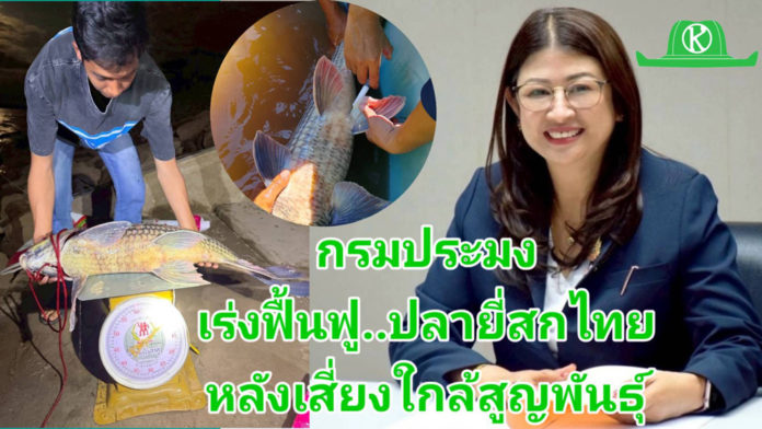 กรมประมง..เร่งฟื้นฟู “ปลายี่สกไทย” หลังเสี่ยงใกล้สูญพันธุ์ กรมประมง..ขานรับนโยบาย ก.เกษตรฯ เดินหน้าเร่งฟื้นฟู “ปลายี่สกไทย” หลังเสี่ยงใกล้สูญพันธุ์ ตั้งเป้าเพิ่มกำลังการผลิตกว่า 500,000 ตัว ในปี 2569