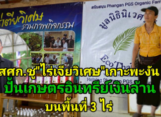 สศก. ชูโมเดล “ไร่เตียวิเศษ” เกาะพะงัน ธุรกิจเกษตรอินทรีย์แบบ Demand-led ใช้ Zero Waste ยกระดับผลิตภาพ ลดต้นทุน 36% สร้างรายได้ 1.28 ล้านบาท/ปี เสริมเสถียรภาพการเงินด้วยรายได้หลายทาง