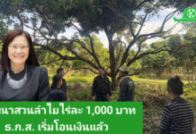 กรมส่งเสริมการเกษตรยัน ธ.ก.ส. โอนเงินโครงการพัฒนาสวนลำไยคุณภาพฯ ไร่ละ 1,000 บาท ดีเดย์ 25 ธ.ค. นี้ นำร่องกลุ่มแรก แนะเกษตรกรเช็คสิทธิ์ผ่านระบบ e-Form