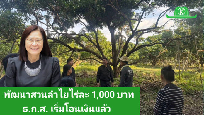 กรมส่งเสริมการเกษตรยัน ธ.ก.ส. โอนเงินโครงการพัฒนาสวนลำไยคุณภาพฯ ไร่ละ 1,000 บาท ดีเดย์ 25 ธ.ค. นี้ นำร่องกลุ่มแรก แนะเกษตรกรเช็คสิทธิ์ผ่านระบบ e-Form