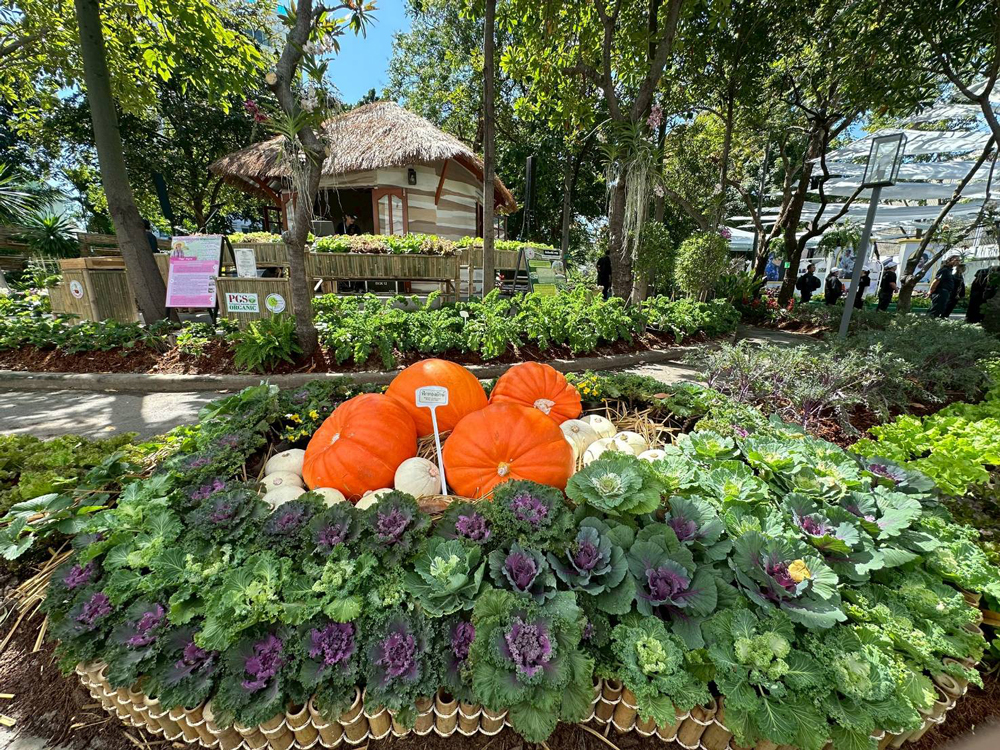 อธิบดี พด. “ดร.สุมิตรา“ พาเที่ยวงาน “วันดินโลก 2568” ชูแนวคิด “ดินที่สมบูรณ์ สู่เมืองที่สมดุล เกื้อกูลชีวิต”