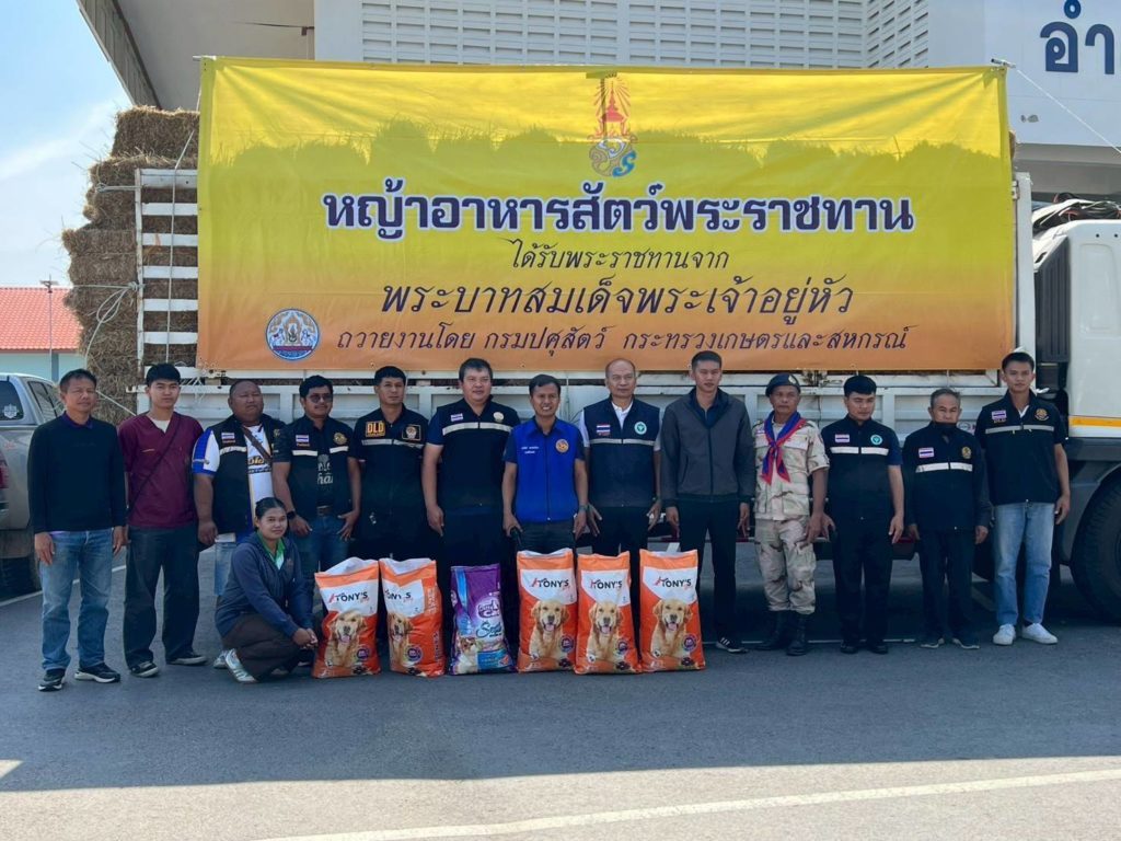 กรมปศุสัตว์เร่งส่งหญ้าแห้ง อาหารสัตว์ เวชภัณฑ์และทีมสัตวแพทย์ช่วยเกษตรกรชายแดนไทย–กัมพูชา