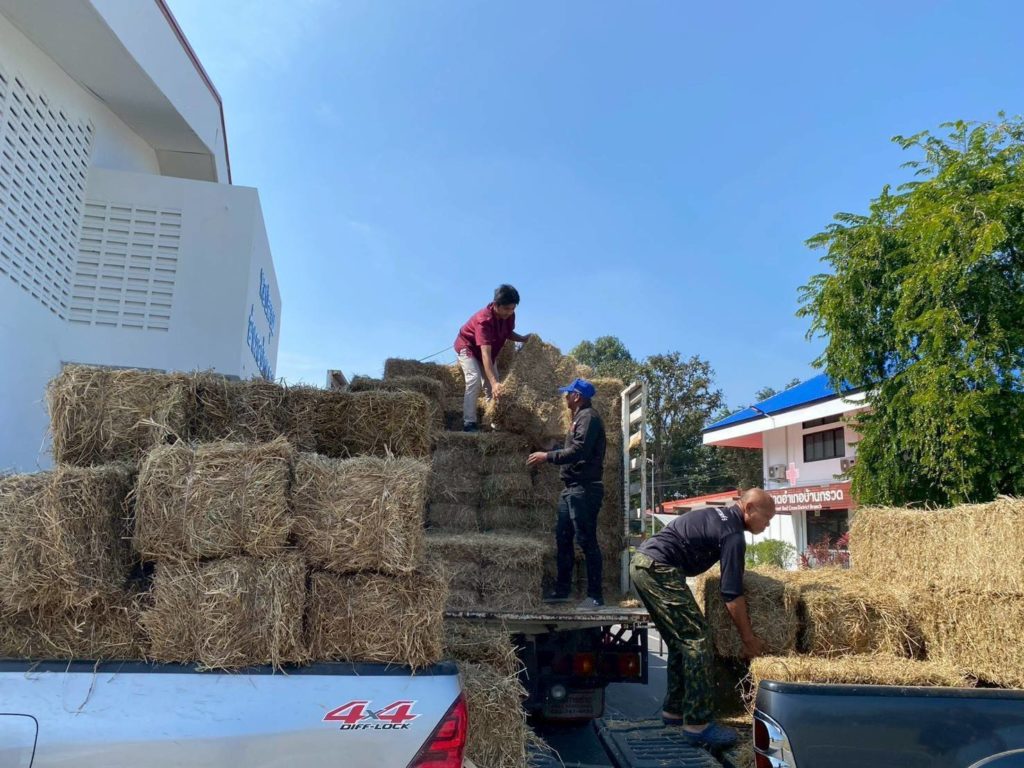 กรมปศุสัตว์เร่งส่งหญ้าแห้ง อาหารสัตว์ เวชภัณฑ์และทีมสัตวแพทย์ช่วยเกษตรกรชายแดนไทย–กัมพูชา