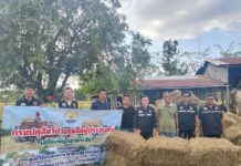 กรมปศุสัตว์เร่งส่งหญ้าแห้ง อาหารสัตว์ เวชภัณฑ์และทีมสัตวแพทย์ช่วยเกษตรกรชายแดนไทย–กัมพูชา