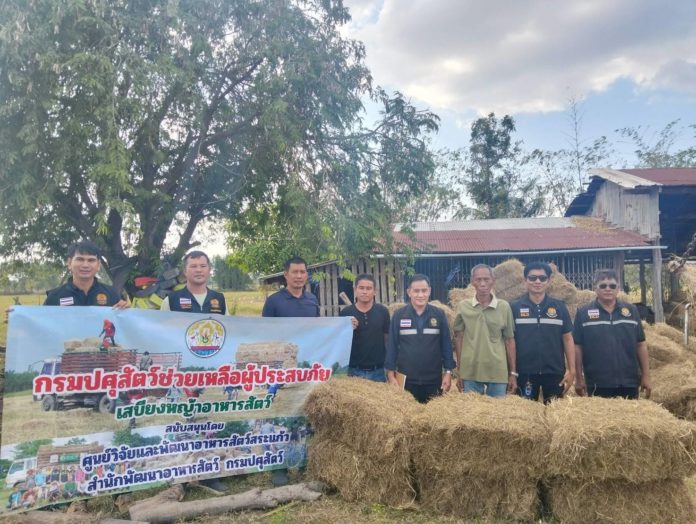 กรมปศุสัตว์เร่งส่งหญ้าแห้ง อาหารสัตว์ เวชภัณฑ์และทีมสัตวแพทย์ช่วยเกษตรกรชายแดนไทย–กัมพูชา