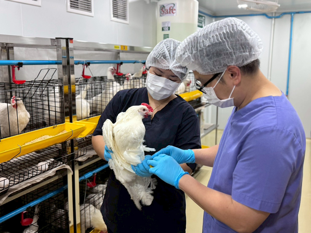 ARDA จับมือ ม.มหิดล โชว์ 3 งานวิจัยเกษตรยกระดับสุขภาพคนไทย ตอบโจทย์ใช้นวัตกรรมเพิ่มมูลค่าเกษตรไทย ลดนำเข้า เสริมความมั่นคงอาหารและยา