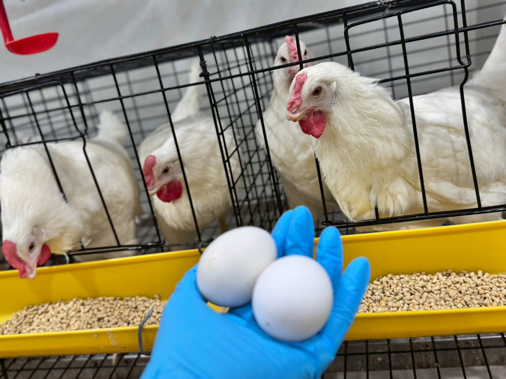 ARDA จับมือ ม.มหิดล โชว์ 3 งานวิจัยเกษตรยกระดับสุขภาพคนไทย ตอบโจทย์ใช้นวัตกรรมเพิ่มมูลค่าเกษตรไทย ลดนำเข้า เสริมความมั่นคงอาหารและยา