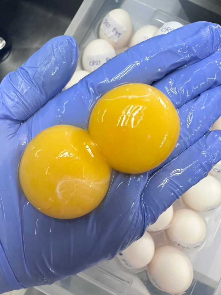 ARDA จับมือ ม.มหิดล โชว์ 3 งานวิจัยเกษตรยกระดับสุขภาพคนไทย ตอบโจทย์ใช้นวัตกรรมเพิ่มมูลค่าเกษตรไทย ลดนำเข้า เสริมความมั่นคงอาหารและยา