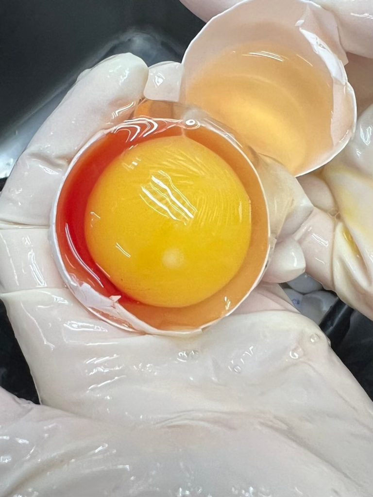 ARDA จับมือ ม.มหิดล โชว์ 3 งานวิจัยเกษตรยกระดับสุขภาพคนไทย ตอบโจทย์ใช้นวัตกรรมเพิ่มมูลค่าเกษตรไทย ลดนำเข้า เสริมความมั่นคงอาหารและยา