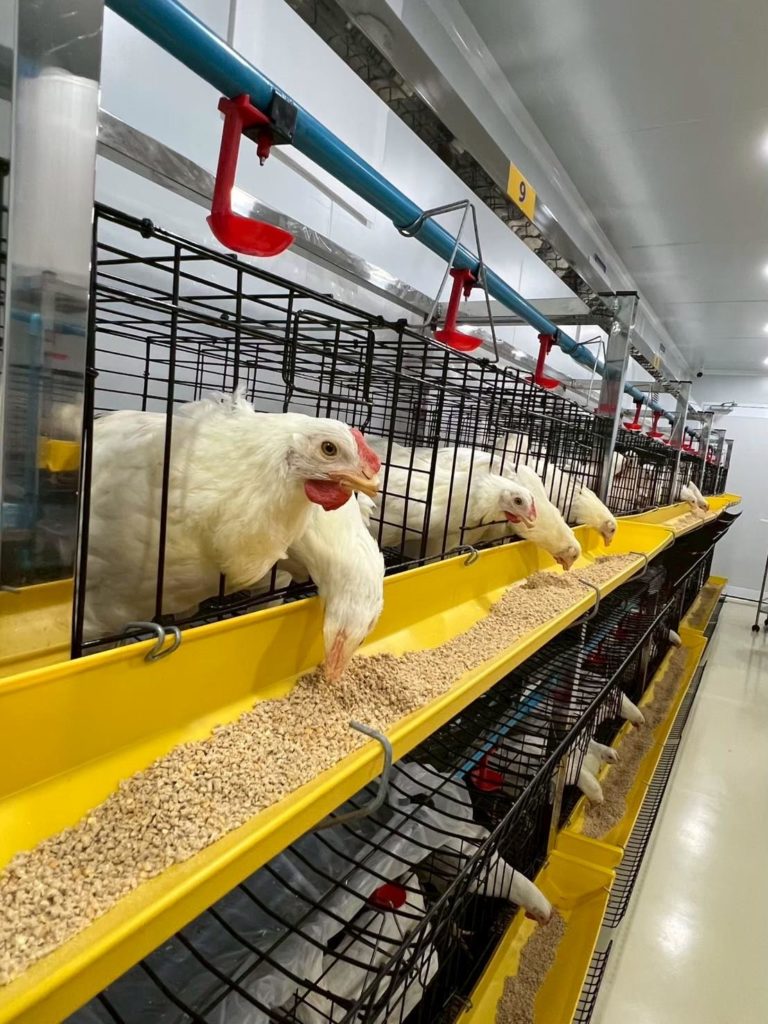 ARDA จับมือ ม.มหิดล โชว์ 3 งานวิจัยเกษตรยกระดับสุขภาพคนไทย ตอบโจทย์ใช้นวัตกรรมเพิ่มมูลค่าเกษตรไทย ลดนำเข้า เสริมความมั่นคงอาหารและยา