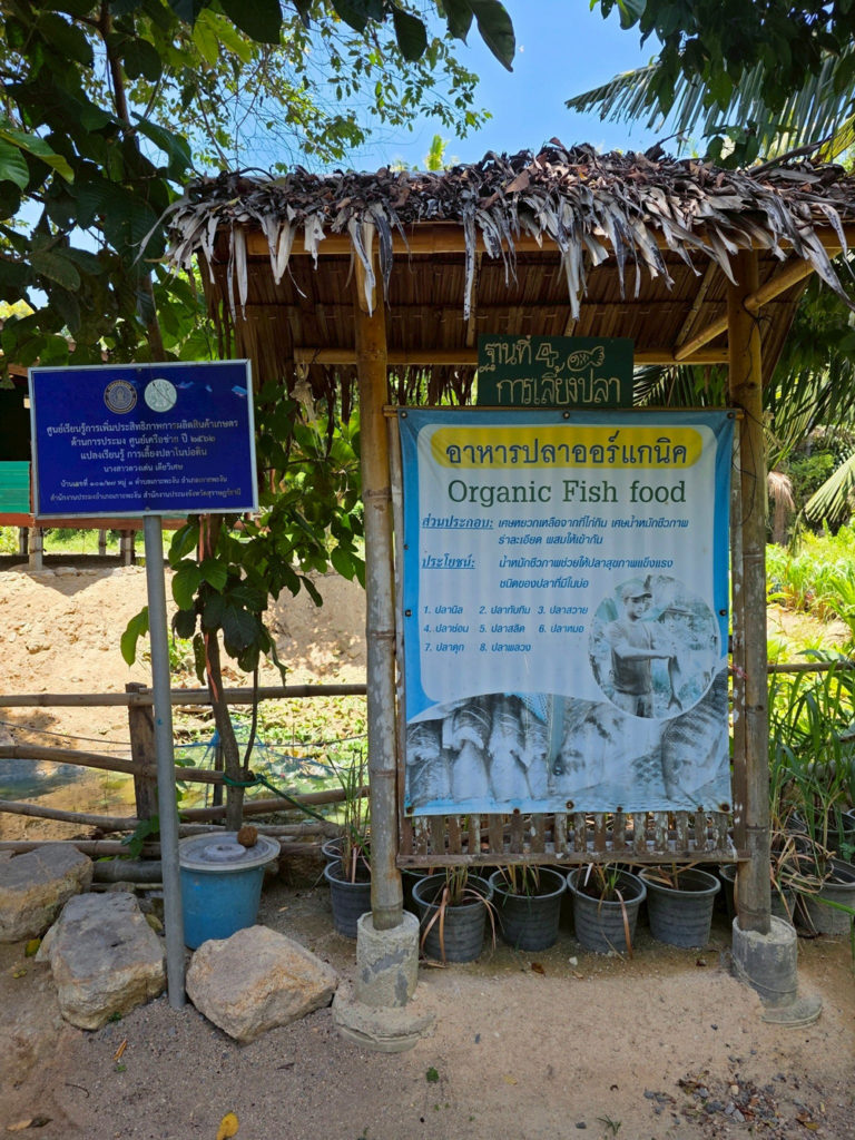 สศก. ชูโมเดล “ไร่เตียวิเศษ” เกาะพะงัน ธุรกิจเกษตรอินทรีย์แบบ Demand-led ใช้ Zero Waste ยกระดับผลิตภาพ ลดต้นทุน 36% สร้างรายได้ 1.28 ล้านบาท/ปี เสริมเสถียรภาพการเงินด้วยรายได้หลายทาง