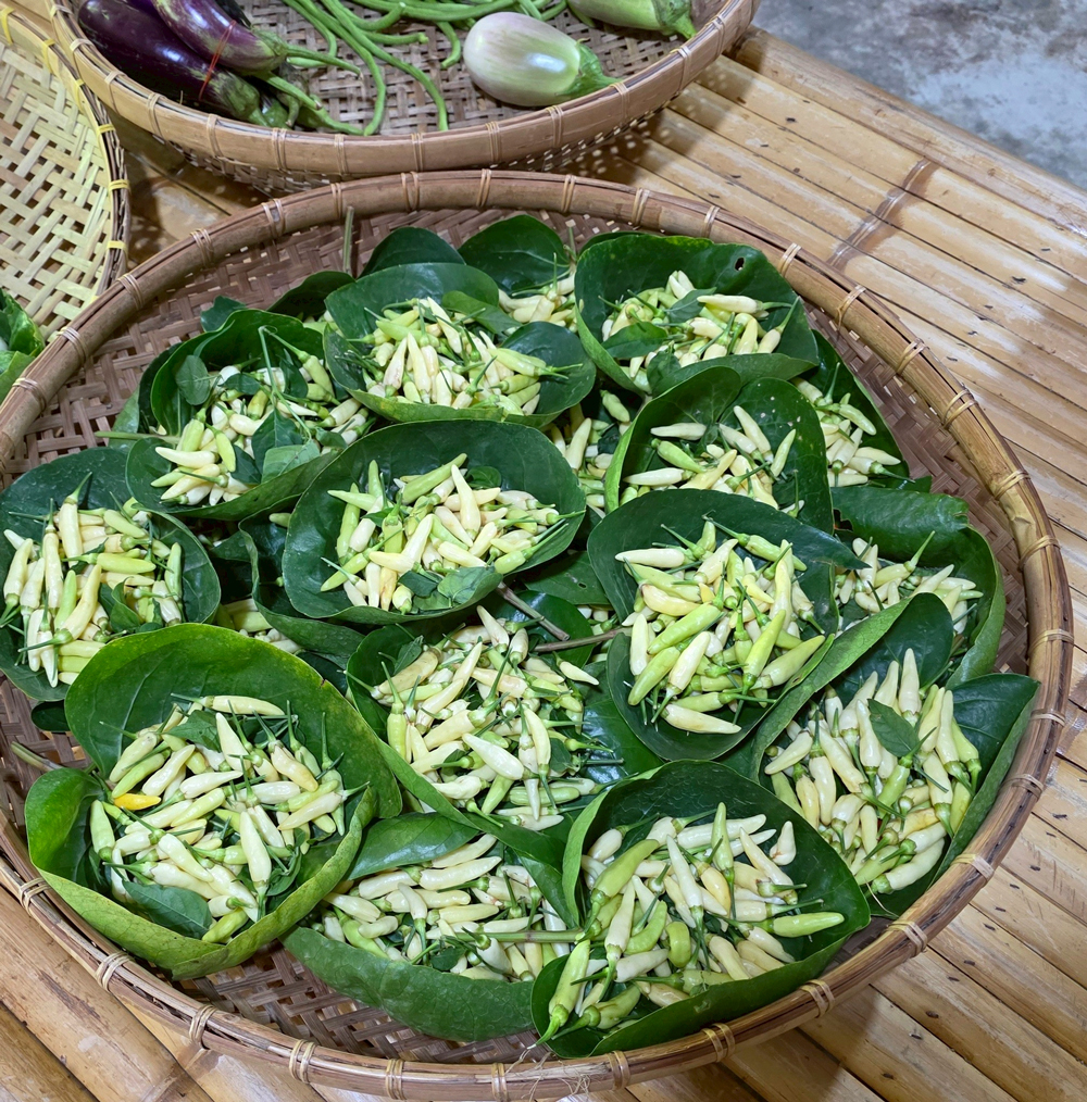 "สศก. เปิดสูตรลับ 'ไร่เตียวิเศษ' ปั้นเกษตรอินทรีย์เงินล้าน! บนพื้นที่ 3 ไร่ ด้วยโมเดล Zero Waste"