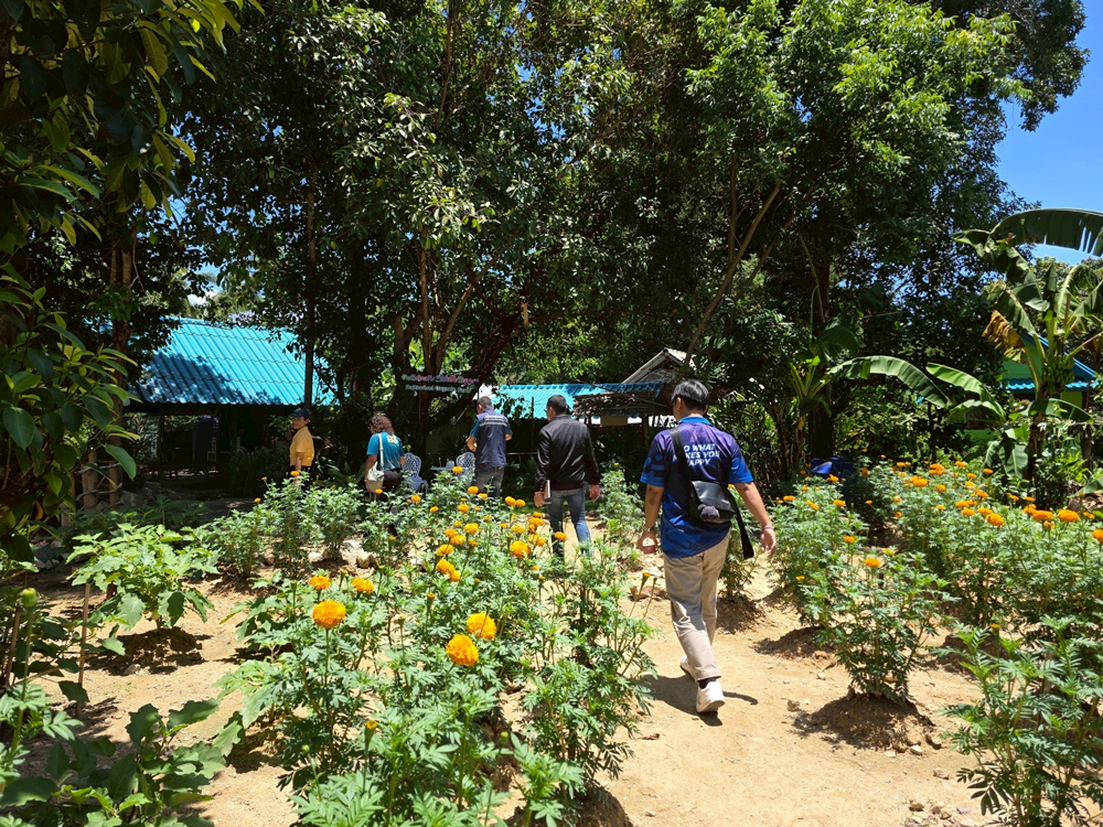 สศก. ชูโมเดล “ไร่เตียวิเศษ” เกาะพะงัน ธุรกิจเกษตรอินทรีย์แบบ Demand-led ใช้ Zero Waste ยกระดับผลิตภาพ ลดต้นทุน 36% สร้างรายได้ 1.28 ล้านบาท/ปี เสริมเสถียรภาพการเงินด้วยรายได้หลายทาง