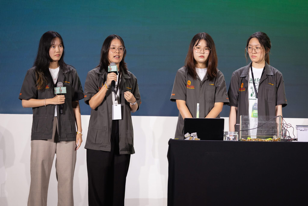 การนำเสนอ