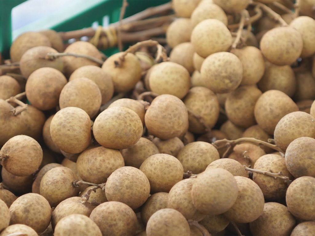 กรมวิชาการเกษตรเดินหน้าขยายตลาด “ผลไม้เมืองร้อนไทย” ผลักดันสินค้าเกษตรมูลค่าสูงบุกตลาดเกาหลีใต้