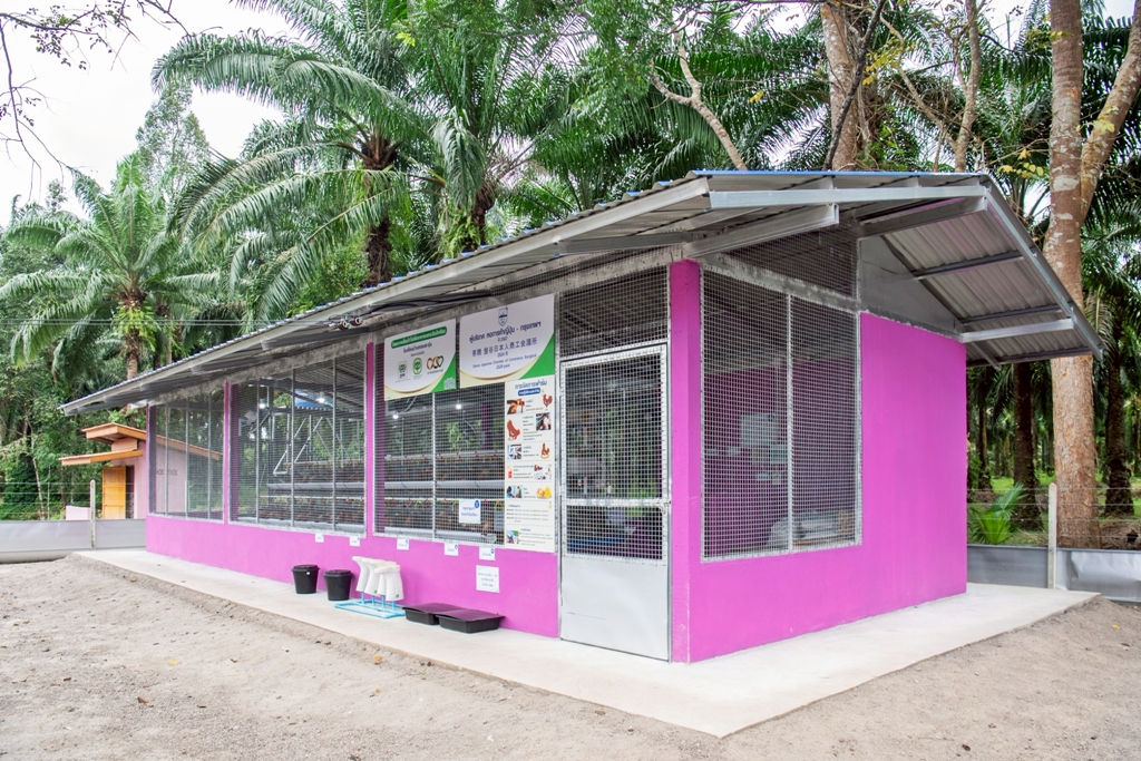 “ไข่ไก่” จากอาหารกลางวัน สู่โอกาสของเยาวชน