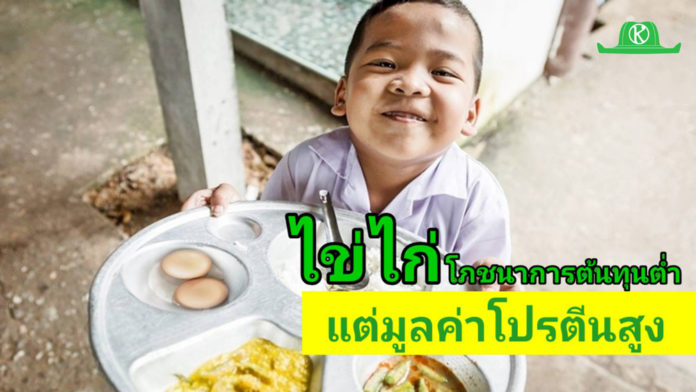 “ไข่ไก่” จากอาหารกลางวัน สู่โอกาสของเยาวชน