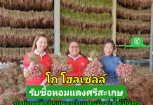 ด่วน!! รับซื้อหอมแดง จ.ศรีสะเกษ ช่วยเกษตรกรแนวชายแดนมีรายได้มั่นคง ฝ่าวิกฤตผลผลิตล้นตลาด