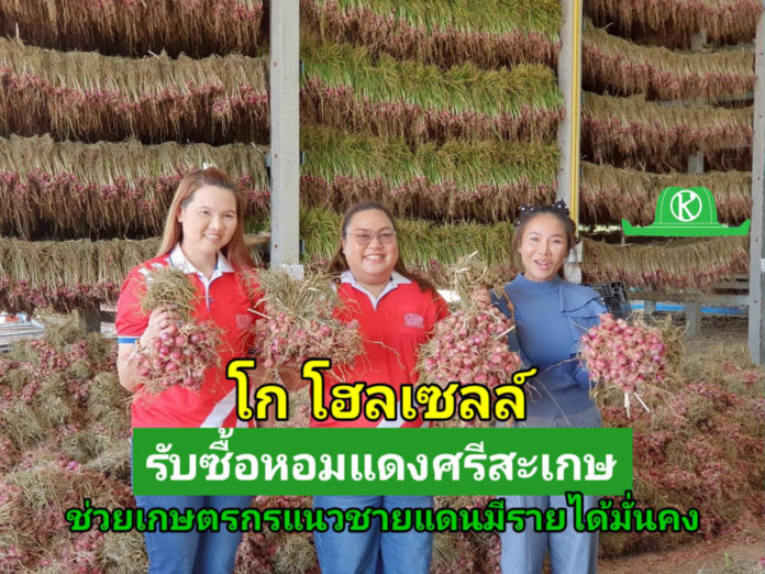 ด่วน!! รับซื้อหอมแดง จ.ศรีสะเกษ ช่วยเกษตรกรแนวชายแดนมีรายได้มั่นคง ฝ่าวิกฤตผลผลิตล้นตลาด