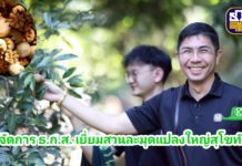 ผู้จัดการ ธ.ก.ส. เยี่ยมสวนละมุดแปลงใหญ่สุโขทัย พร้อมขับเคลื่อน BAAC Outlet สินค้าคุณภาพจากเกษตรกร ที่ ธ.ก.ส. ทุกสาขา