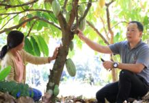 “แม่จริมโมเดล” จากการฟื้นฟูชุมชน สู่ต้นแบบการพัฒนาพื้นที่สูงที่ขยายผลได้จริง