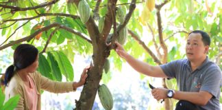 “แม่จริมโมเดล” จากการฟื้นฟูชุมชน สู่ต้นแบบการพัฒนาพื้นที่สูงที่ขยายผลได้จริง