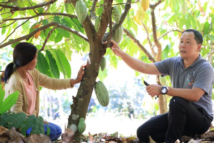 “แม่จริมโมเดล” จากการฟื้นฟูชุมชน สู่ต้นแบบการพัฒนาพื้นที่สูงที่ขยายผลได้จริง