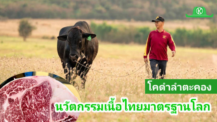 เอ็นไอเอเปิดเกมพลิกโฉมนวัตกรรมโคเนื้อไทยชิงมูลค่าตลาด – ผู้บริโภค กระตุ้นแบรนด์ดิ้งโคเนื้อพรีเมียมท้องถิ่นในงาน “Thailand Beef Fest 2026” พร้อมดึง 4 มหาอำนาจเนื้อร่วมยกระดับมาตรฐานและการแข่งขัน