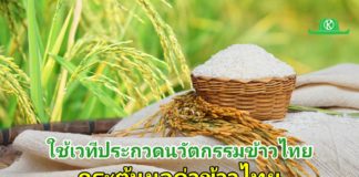 “เอ็นไอเอ–มูลนิธิข้าวไทย” ใช้เวทีประกวดนวัตกรรมข้าวไทยกระตุ้นมูลค่าพืชเศรษฐกิจหลักประเทศ