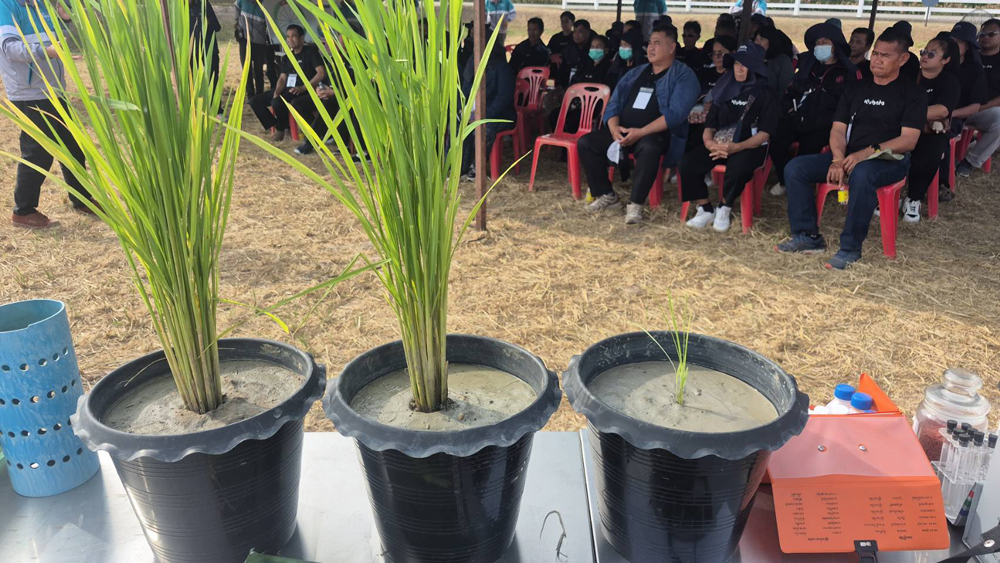 สยามคูโบต้า จัดกิจกรรมใหญ่ “Connect the Dots” รวมพลังชุมชนคนคูโบต้า ปั้นต้นแบบเกษตรเข้มแข็ง แลกเปลี่ยนความสำเร็จสู่ความยั่งยืน