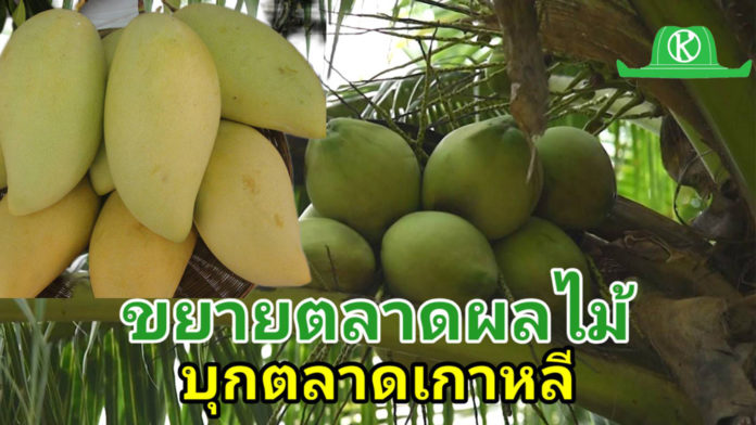 กรมวิชาการเกษตรเดินหน้าขยายตลาด “ผลไม้เมืองร้อนไทย” บุกตลาดเกาหลีใต้