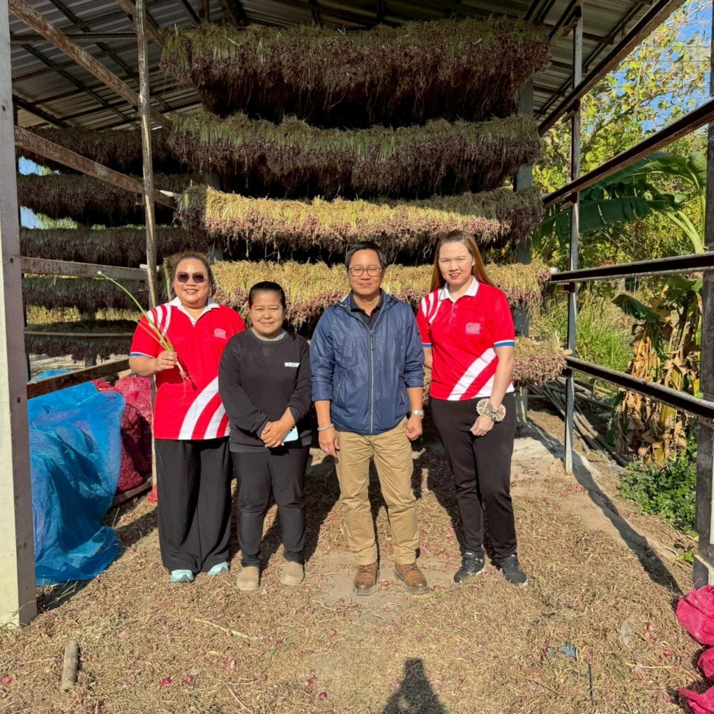 ด่วน!! รับซื้อหอมแดง จ.ศรีสะเกษ ช่วยเกษตรกรแนวชายแดนมีรายได้มั่นคง ฝ่าวิกฤตผลผลิตล้นตลาด