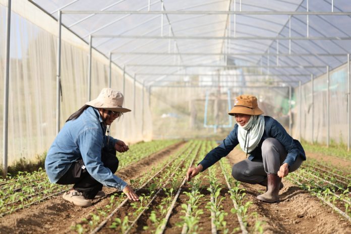 “แม่จริมโมเดล” จากการฟื้นฟูชุมชน สู่ต้นแบบการพัฒนาพื้นที่สูงที่ขยายผลได้จริง “แม่จริมโมเดล” จากการฟื้นฟูชุมชน สู่ต้นแบบการพัฒนาพื้นที่สูงที่ขยายผลได้จริง