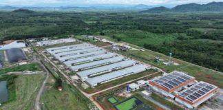 ซีพีเอฟ เปลี่ยนมูลไก่เป็นพลังงานสะอาด สร้างต้นแบบฟาร์มไก่ไข่ยั่งยืน 