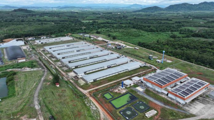 ซีพีเอฟ เปลี่ยนมูลไก่เป็นพลังงานสะอาด สร้างต้นแบบฟาร์มไก่ไข่ยั่งยืน 